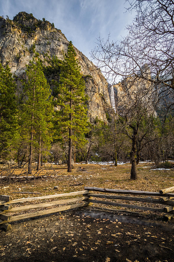 Yosemite National Park Photograph - Cathedral Rock and Bridalveil Falls by Mike Lee