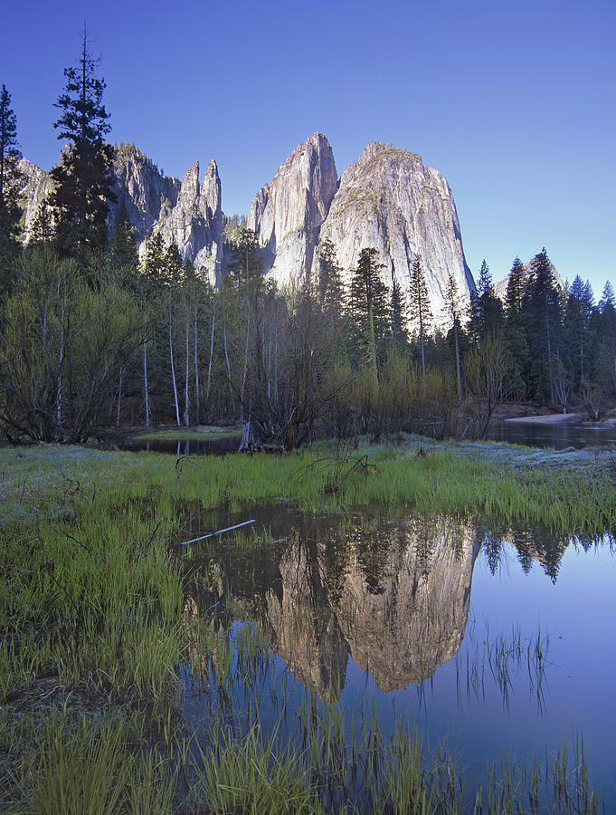 Cathedral Rock And The Merced River Photograph by Tim Fitzharris