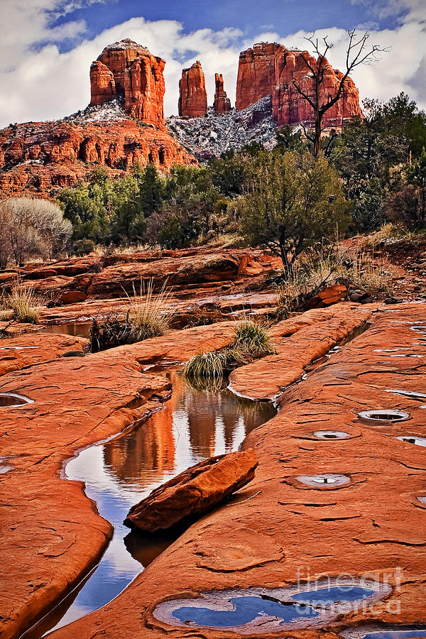 Tree Photograph - Cathedral Rock in Winter by Priscilla Burgers
