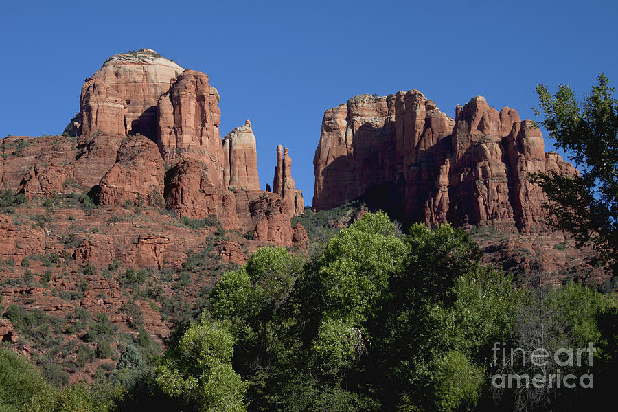 Cathedral Rock Photograph by Ivete Basso Photography