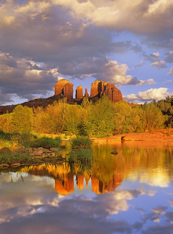 Cathedral Rock Reflected In Oak Creek Photograph by Tim Fitzharris