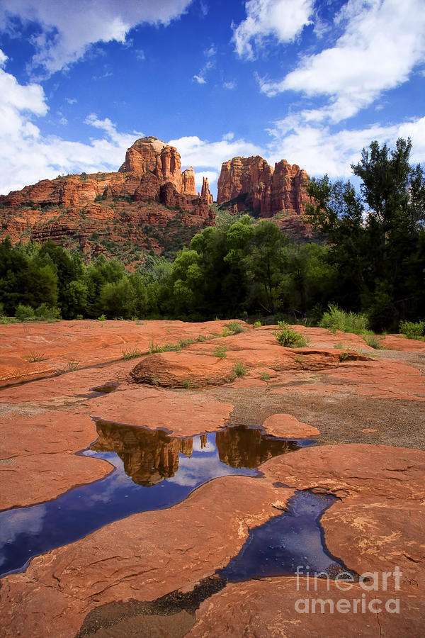 Cathedral Rock Reflections Photograph by Priscilla Burgers