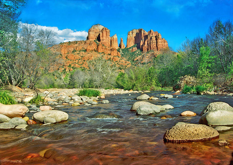 Cathedral Rock Sedona Photograph by Steven Barrows