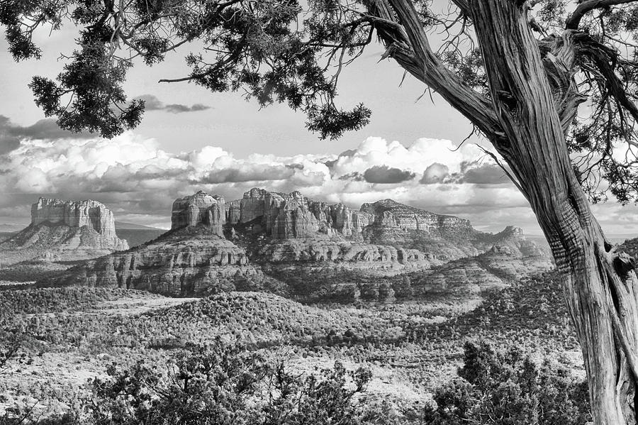 Cathedral Rocks - Black and White Photograph by Harold Rau
