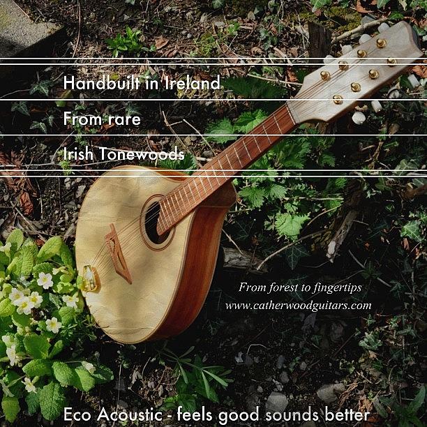 Guitar Photograph - Catherwood Guitars - Eco Acoustic by J Catherwood