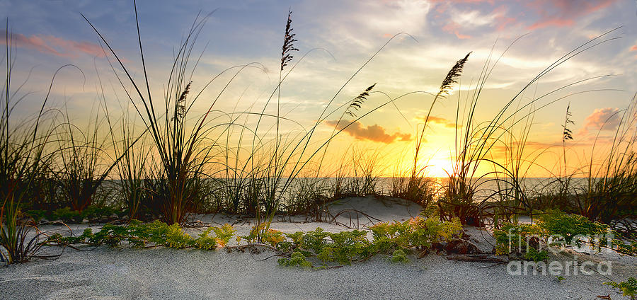 Sunset Mixed Media - Captivating Beach by Jon Neidert
