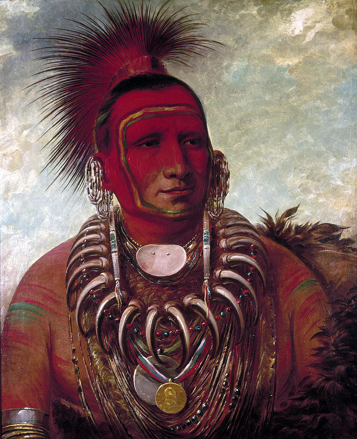 Catlin Little Wolf, C1844 Painting by Granger - Pixels