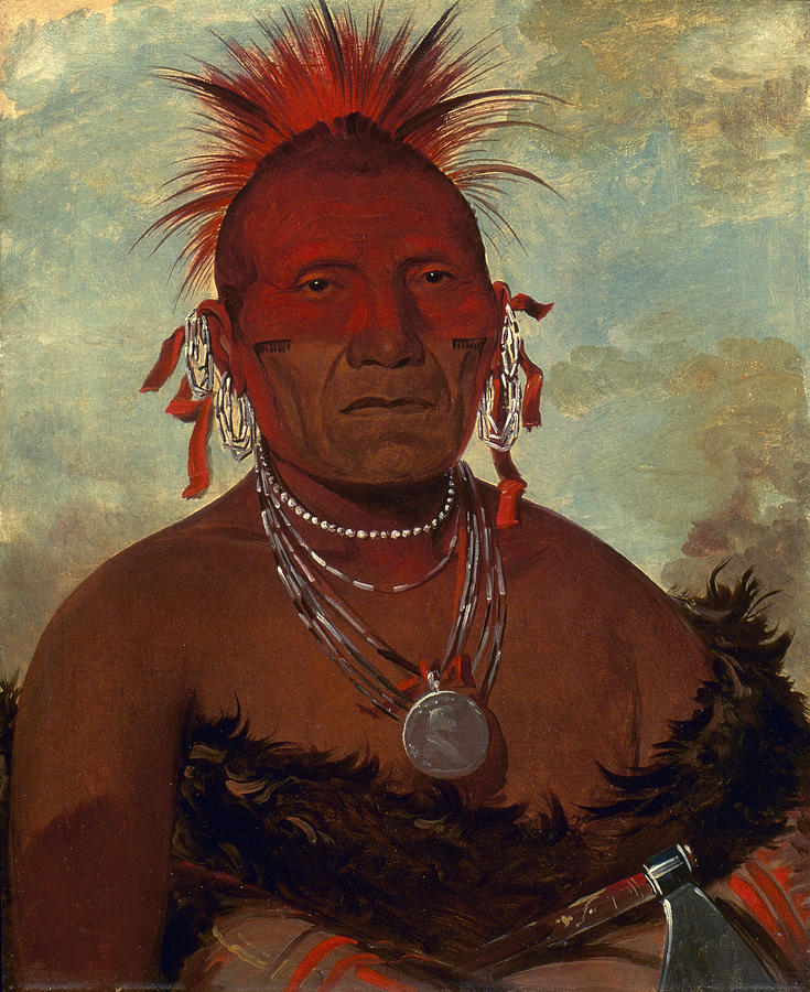 Pawnee Chief Painting by George Catlin - Fine Art America