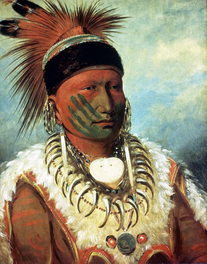 Catlin White Cloud, 1830 Painting by Granger