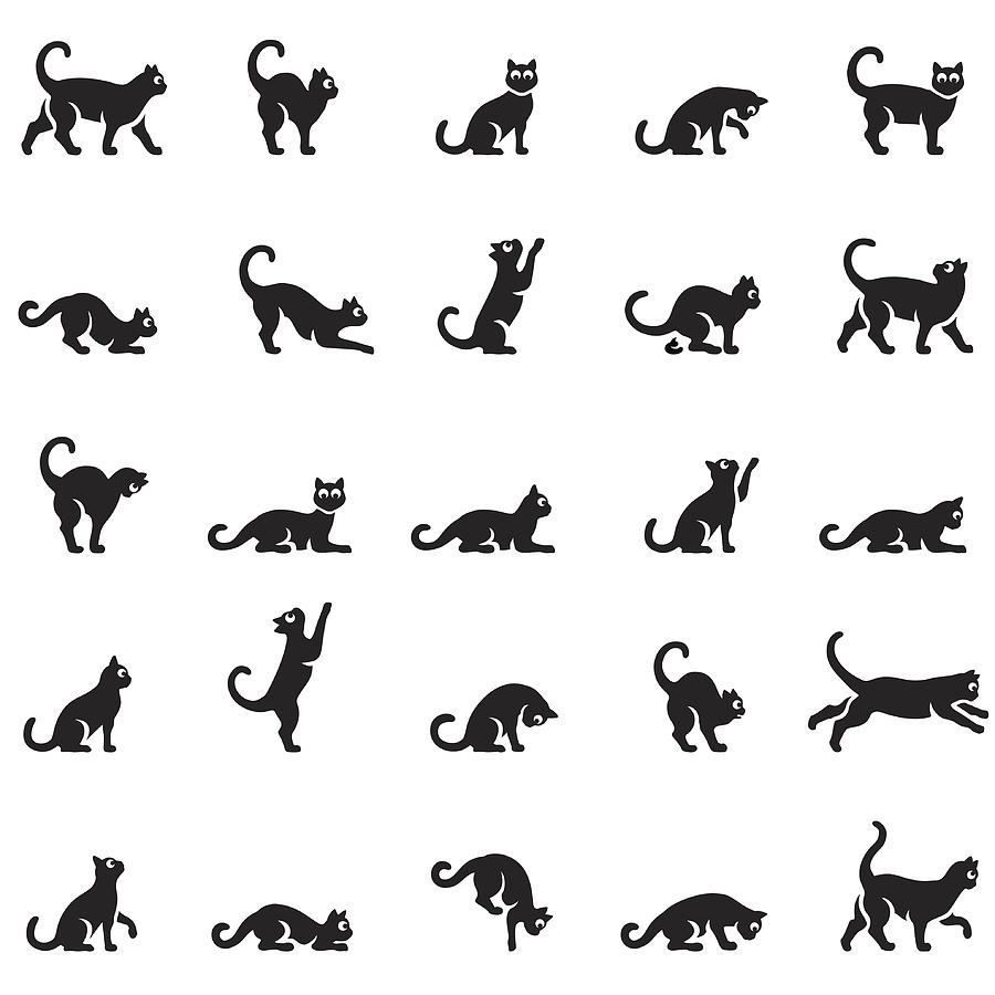 Cats body language Drawing by AlonzoDesign