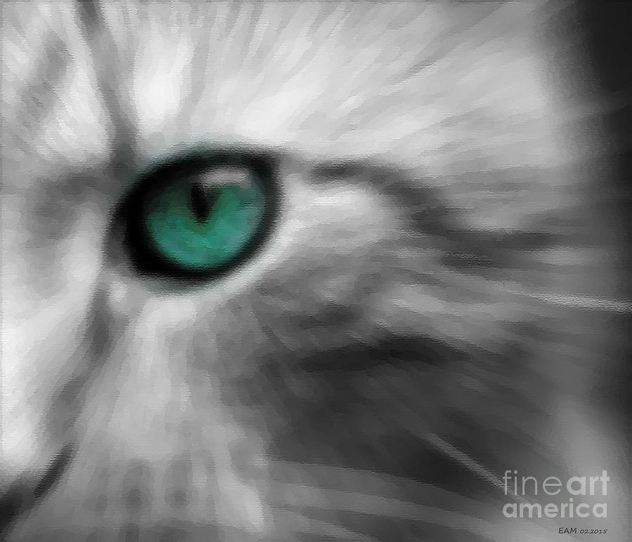 Cats Eye Digital Art by Elizabeth McTaggart