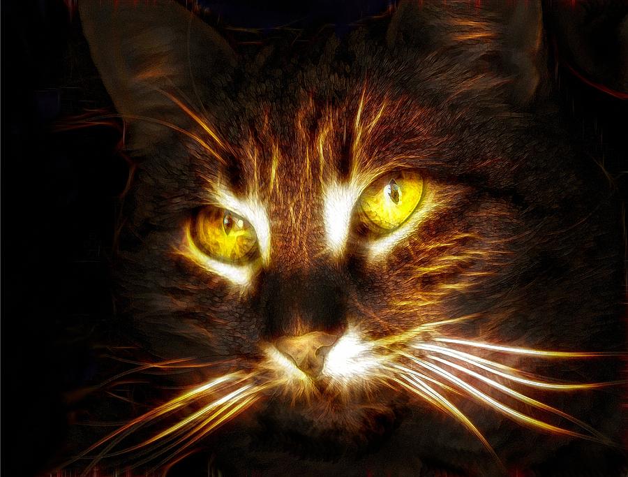 Cats Eyes - Fractal Digital Art by Lilia D