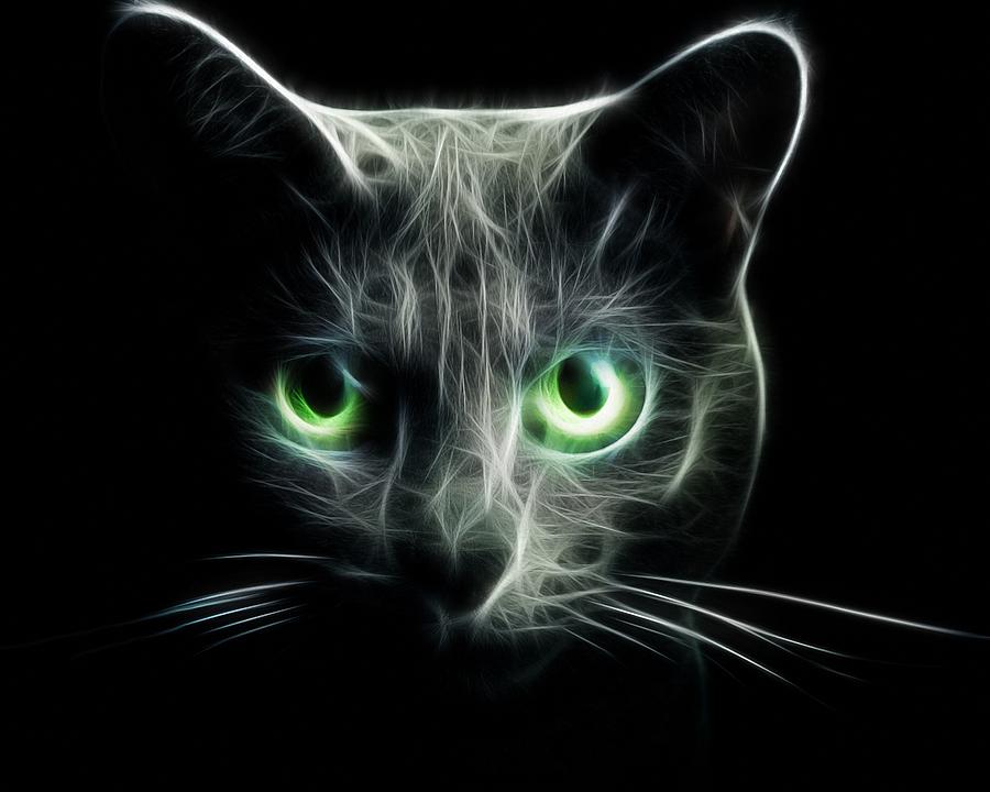 Cats eyes in the dark Digital Art by Lilia S