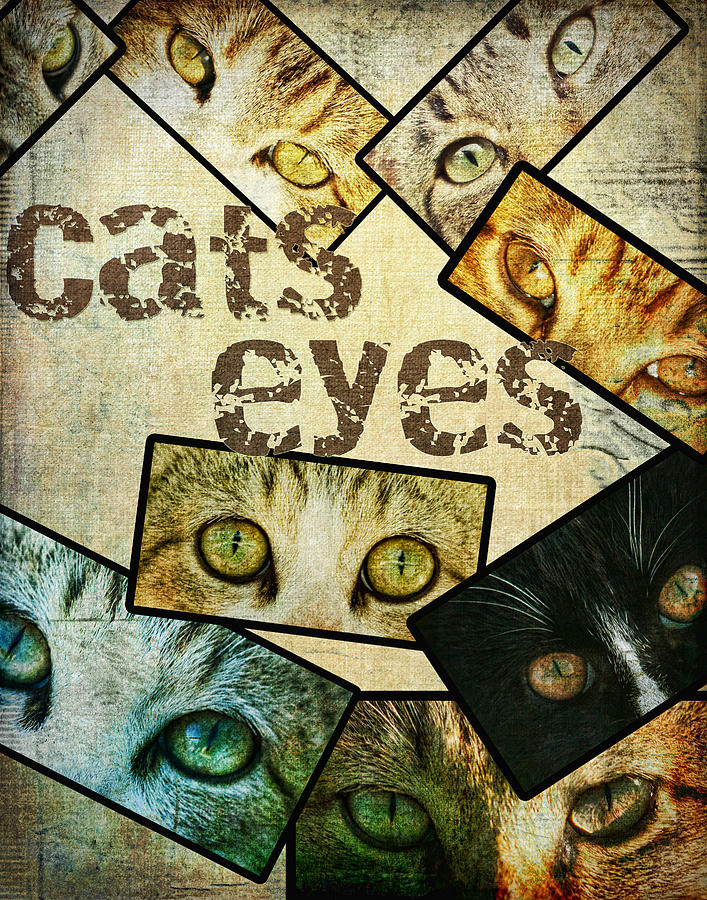 Cats Eyes Photograph by Kathy Clark