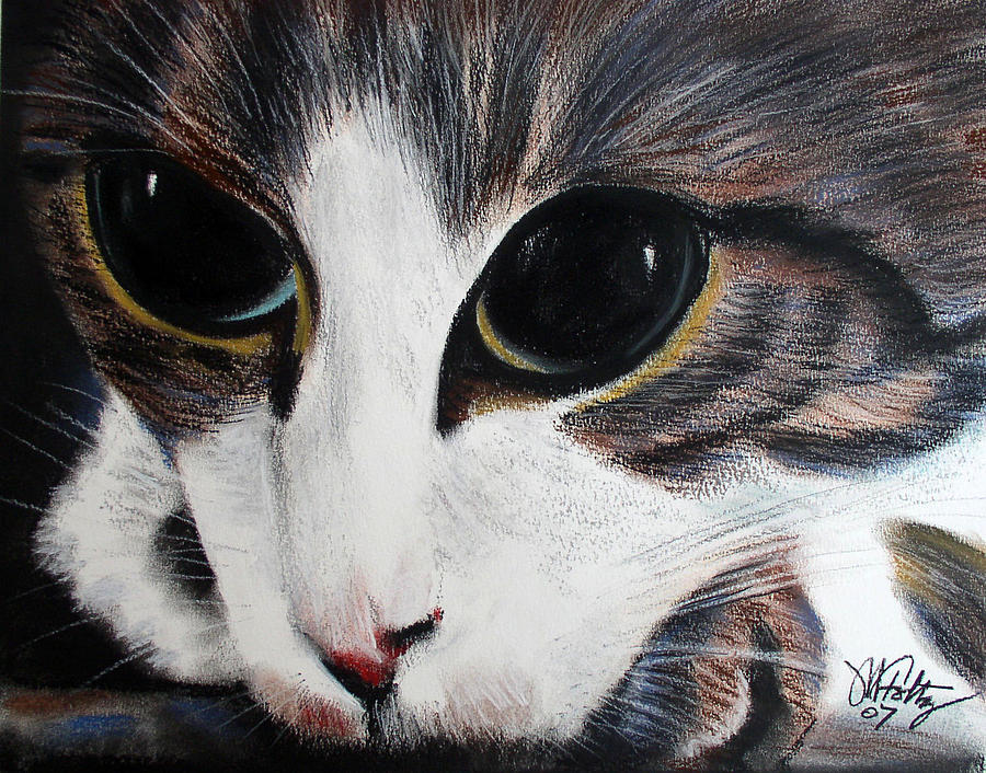 Cats Eyes Painting by Michael Foltz