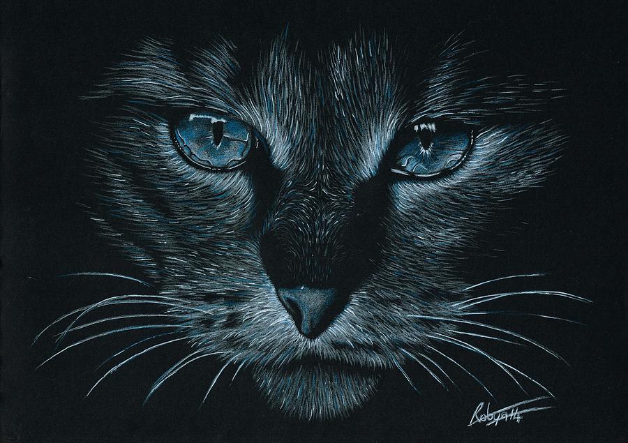 Nature Drawing - Cats Eyes by Robyn Green