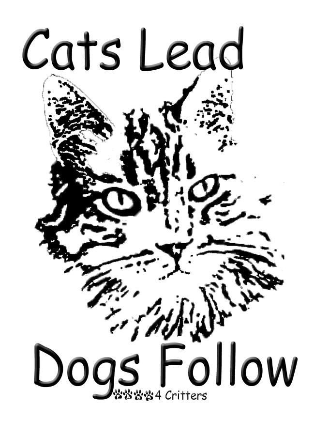 Cat Photograph - Cats Lead Dogs Follow by Robyn Stacey