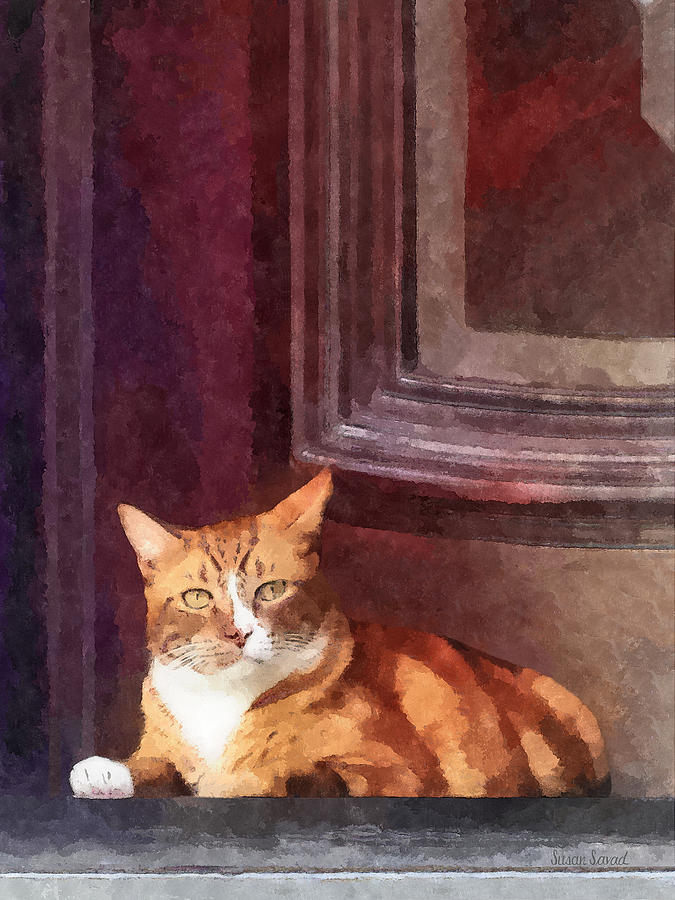 Cat Photograph - Cats - Orange Tabby in Doorway by Susan Savad