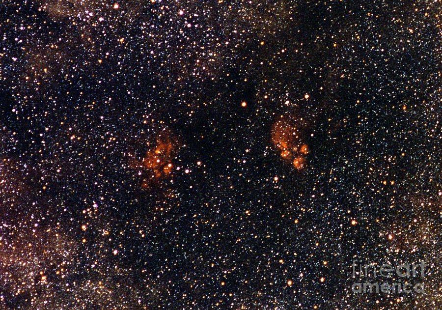 Cats Paw Nebula And Nebula Complex Photograph by John Chumack