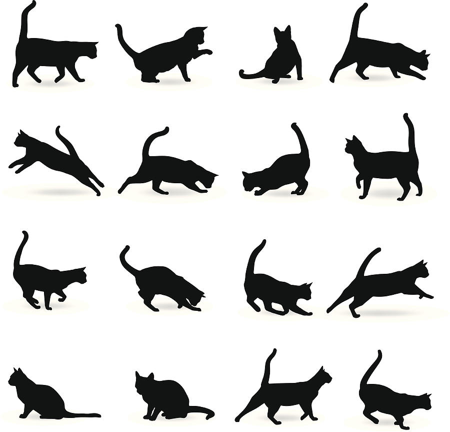 Cats Silhouette Drawing by Vectorig