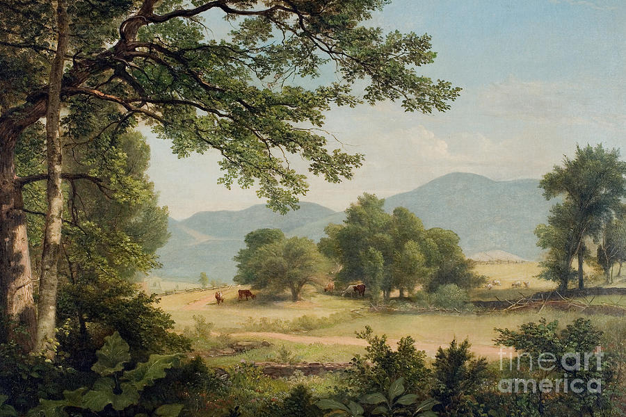 Catskill Meadows in Summer Painting by Asher Brown Durand