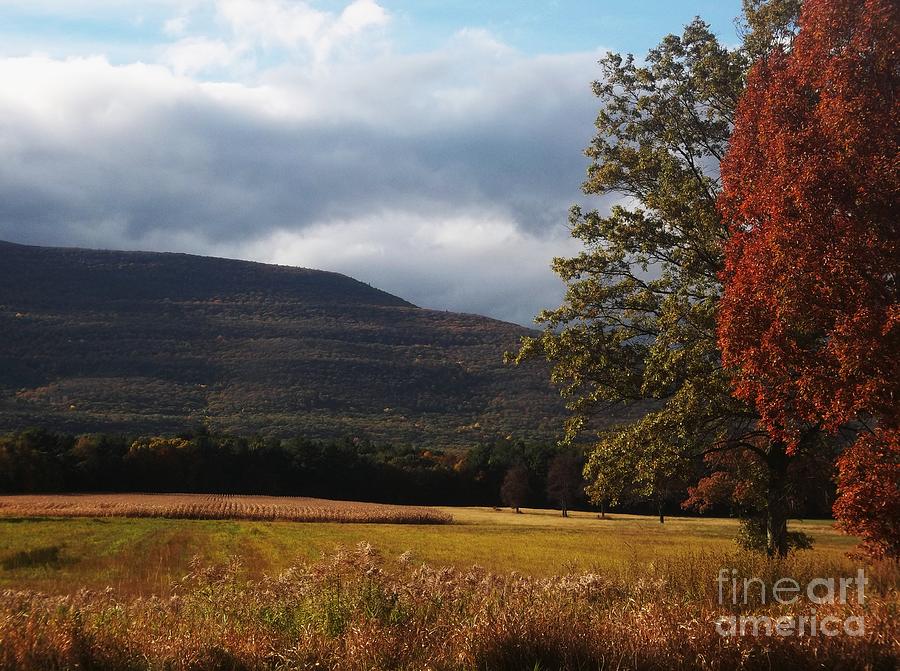Fall Photograph - Catskill Mountains and Farms by Ellen Levinson