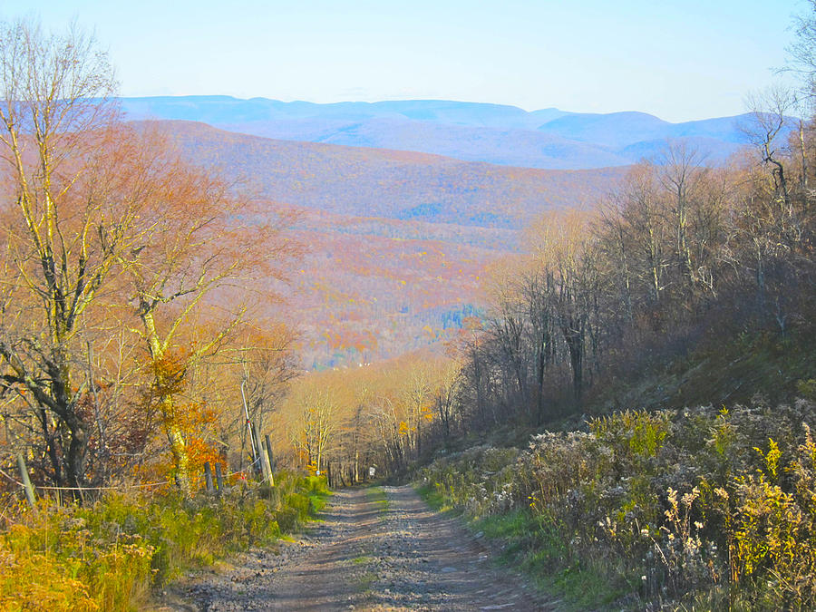 Catskill Mtn. Dirt Road Photograph by Kathryn Barry