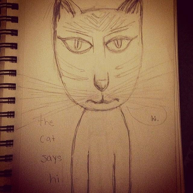 Hi Photograph - #catsofinstagram #hi by Erica Lubee Hi Photograph - #catsofinstagram #hi by Erica Lubee