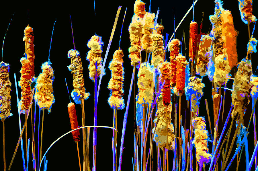Nature Mixed Media - Cattail Colors by Brian Stevens