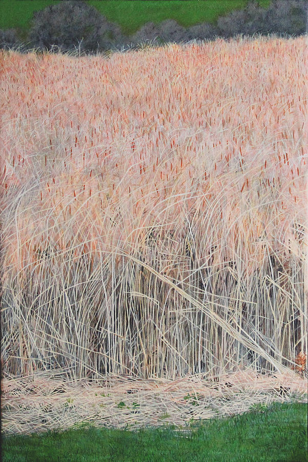 Cattails Painting