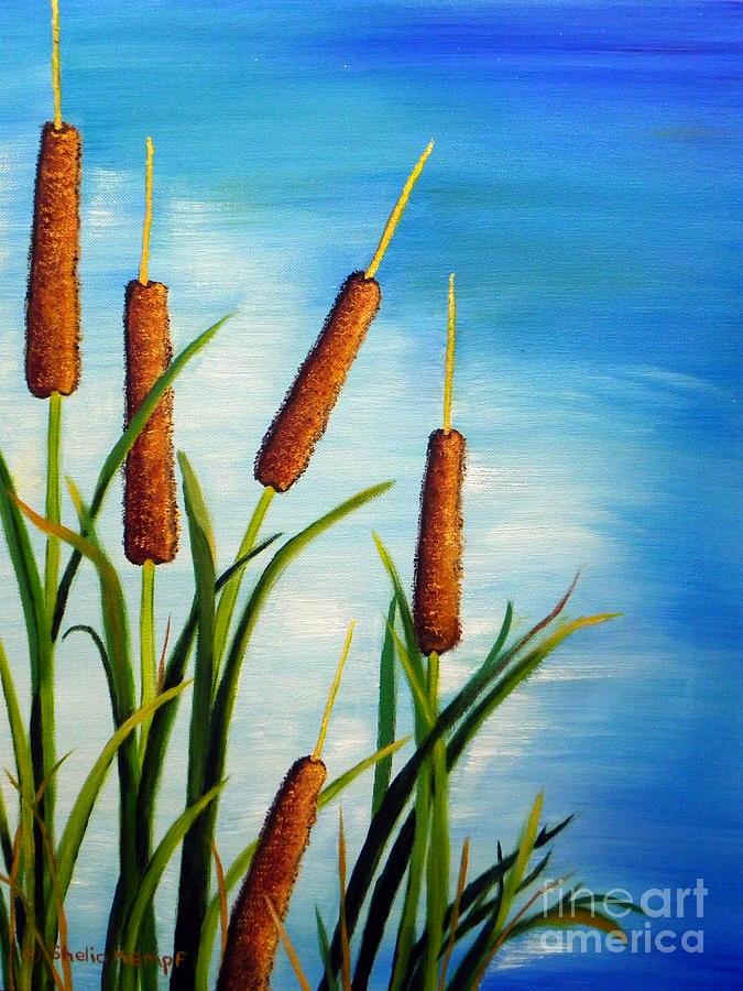 Cattails Painting by Shelia Kempf