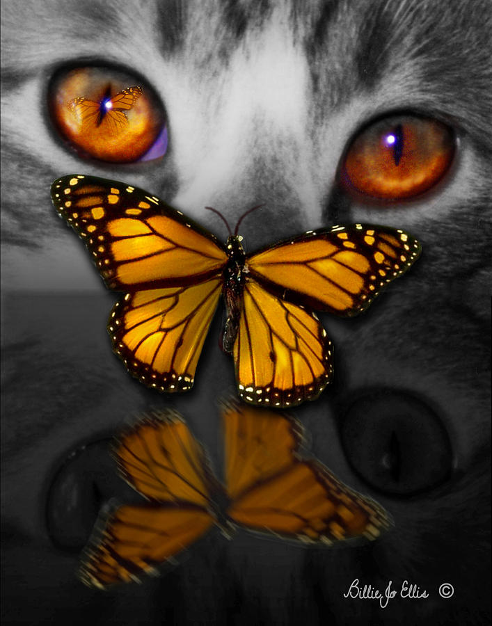 Cat Digital Art - CatterFly by Billie Jo Ellis Cat Digital Art - CatterFly by Billie Jo Ellis