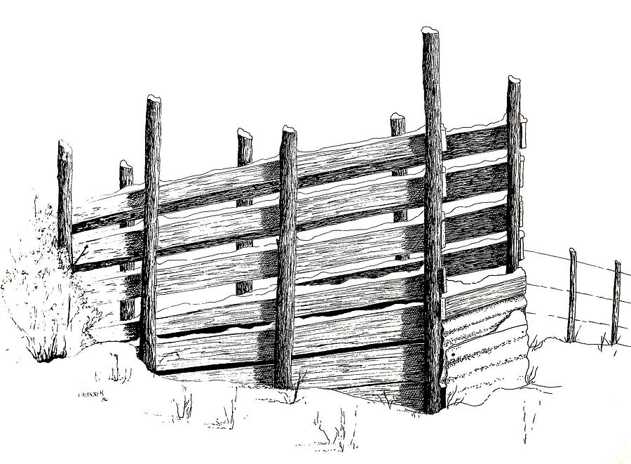 Cattle Chute Ink Painting by Richard Faulkner