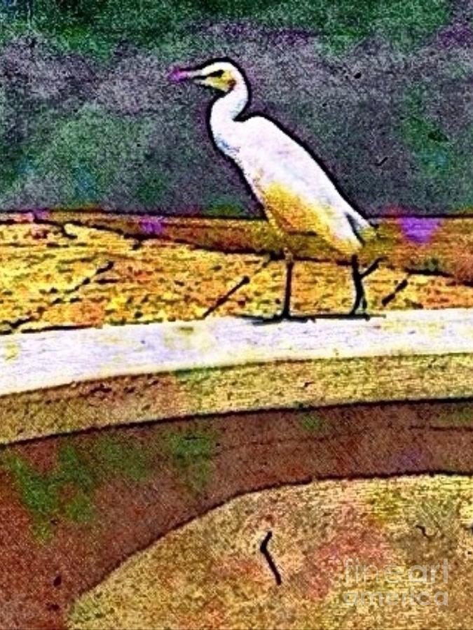 V Cattle Egret in Town - Vertical Digital Art by Lyn Voytershark
