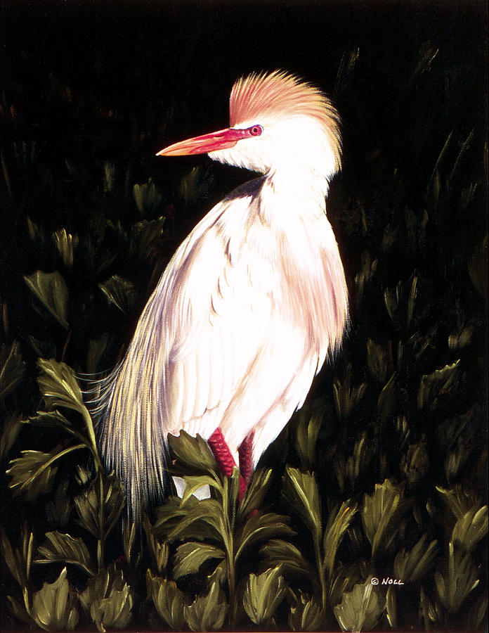 Egret Painting - Cattle Egret by Mark Noll