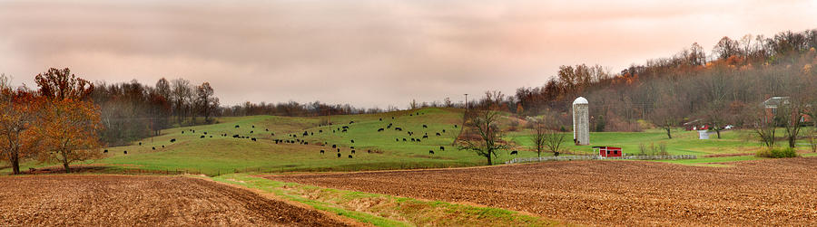 Cattle Farm Paint valley  Photograph by Randall Branham