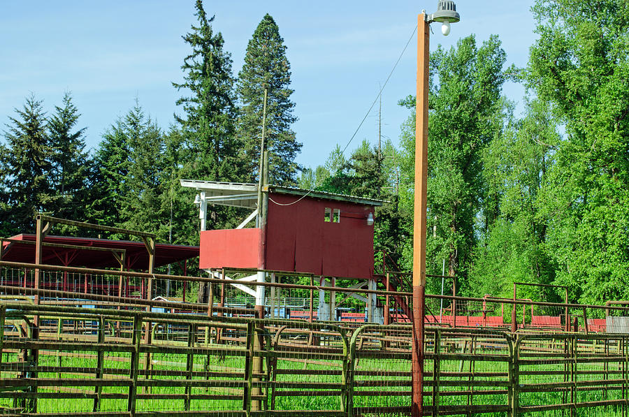 Tree Photograph - Cattle Gates for the Rodeo by Tikvahs Hope