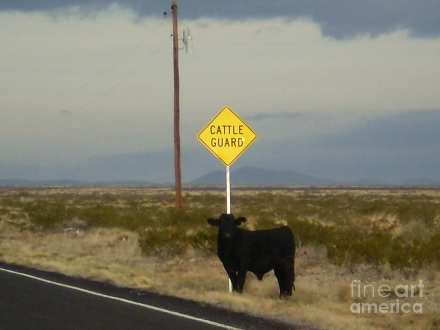 Way Out West Photograph - Cattle Guard by Craig Pearson