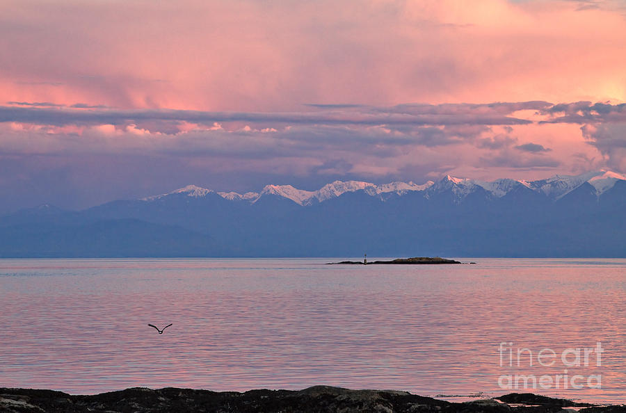 Cattle Point at Sunset on Vancouver Island British Columbia Photograph by Louise Heusinkveld
