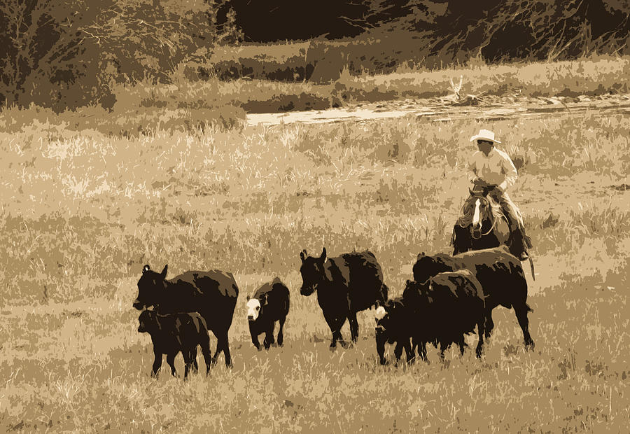 Cattle Round Up Sepia Photograph by Athena Mckinzie