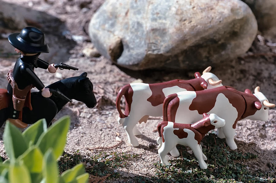 Cattle Rustler Photograph by Caitlyn  Grasso