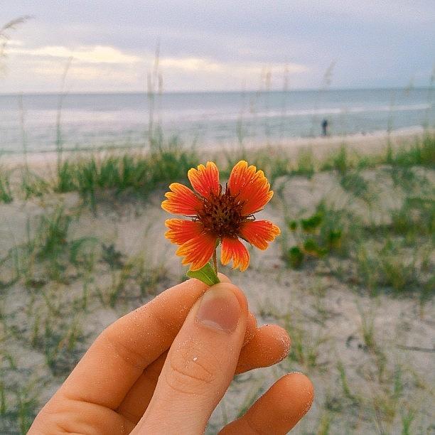 Vscocam Photograph - Caught Myself A Flower by Tyler Hoagland