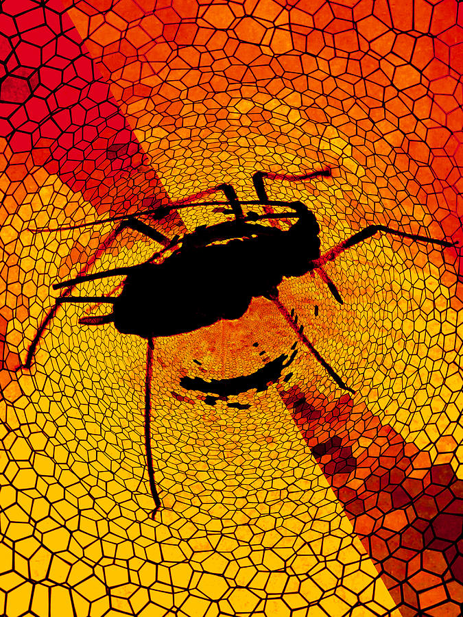 Aphid Digital Art - Caught by Steve Taylor