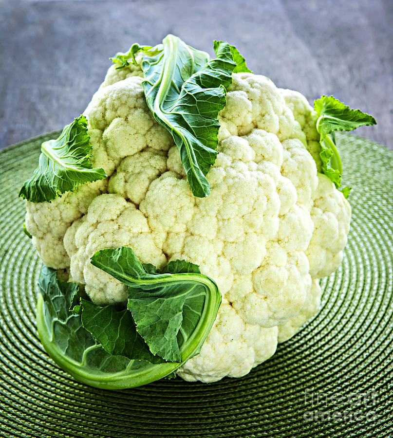 Cauliflower Photograph - Cauliflower by Elena Elisseeva