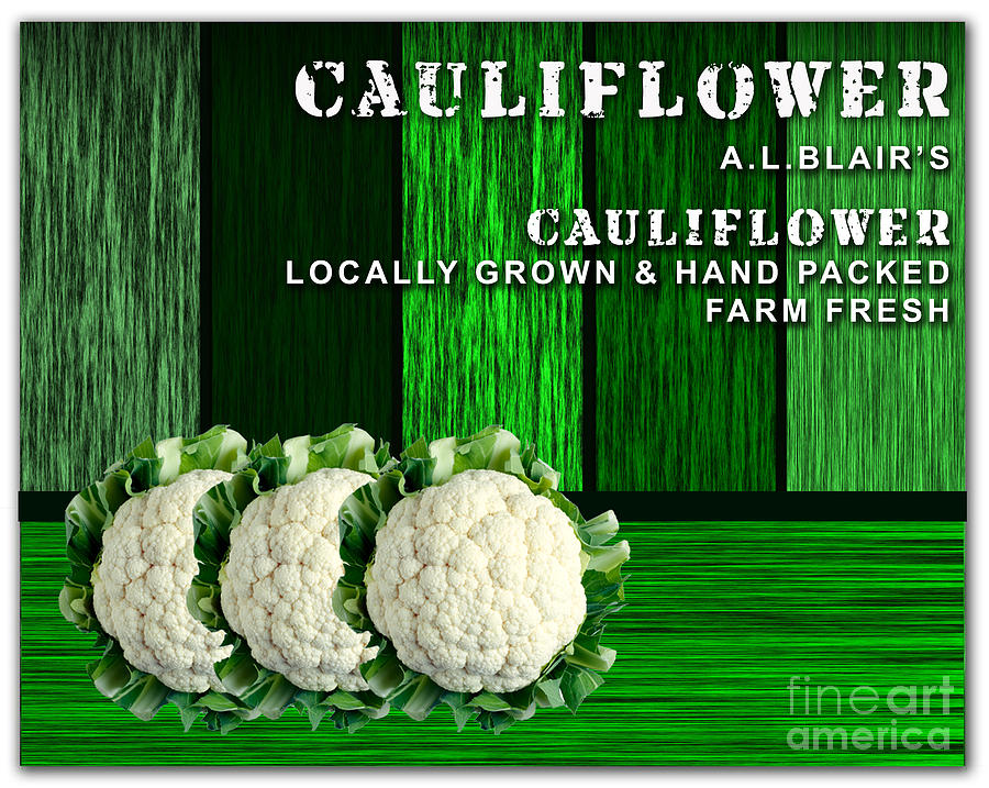 Cauliflower Farm Mixed Media by Marvin Blaine