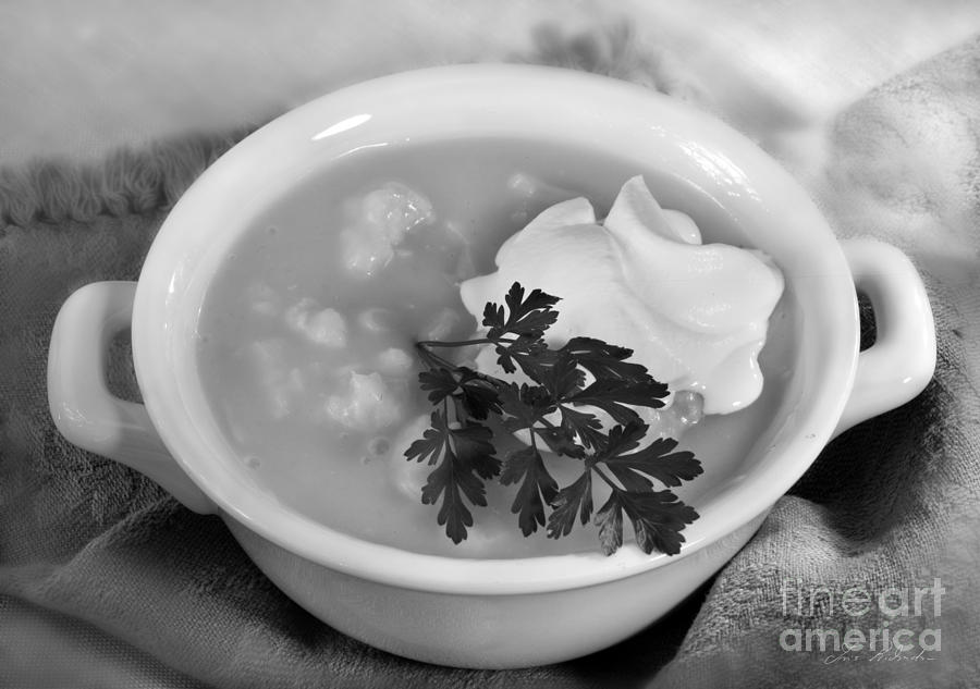 Cauliflower Photograph - Cauliflower Soup by Iris Richardson