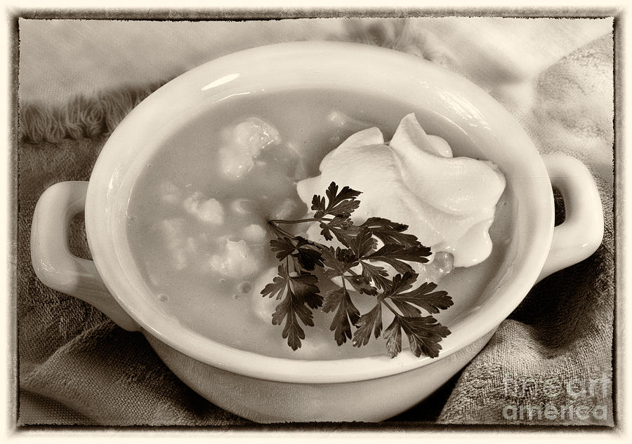 Cauliflower Soup Sepia Tone Photograph by Iris Richardson