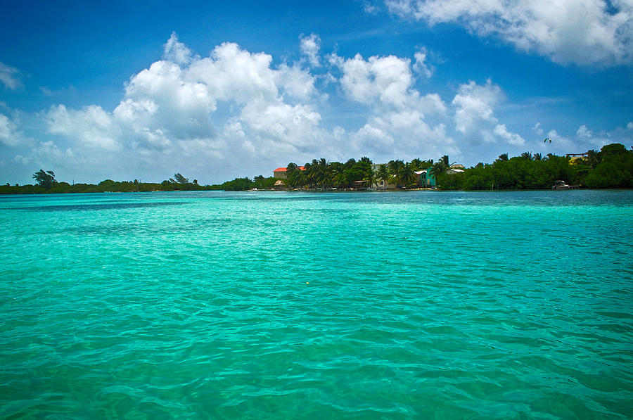 Caulker Cay Belize Photograph by Kristina Deane