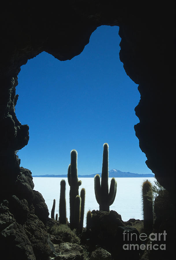 Cave and cacti Incahuasi Island Photograph by James Brunker