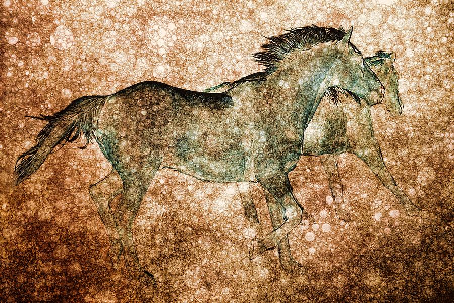 Cave Art Horses Photograph by Shannon Story